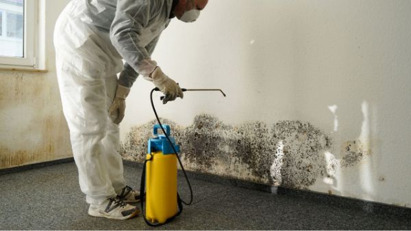 General / Basic Mold Remediation